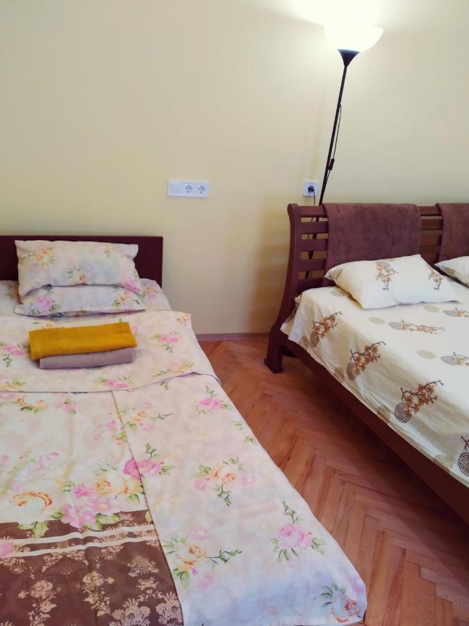 Lviv Appartment On Yaroslava Mudrogo 14 외부 사진