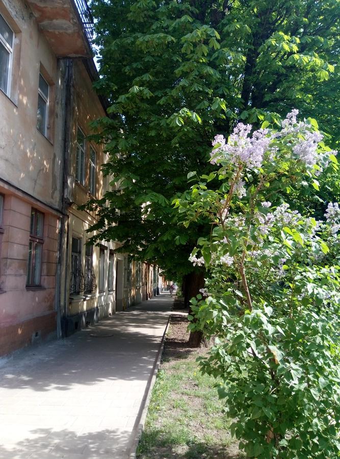 Lviv Appartment On Yaroslava Mudrogo 14 외부 사진